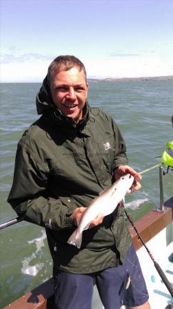 1 lb 10 oz Whiting by Unknown