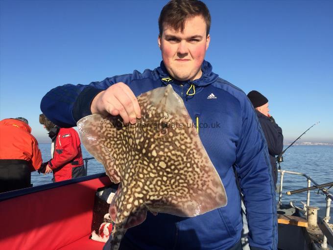 6 lb Thornback Ray by Charlie from Ramsgate