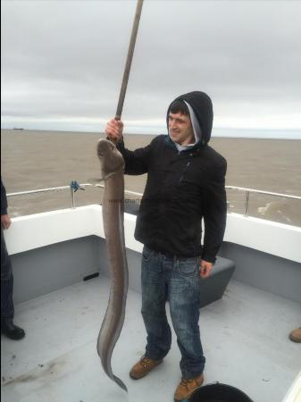 25 lb Conger Eel by damian Morgan