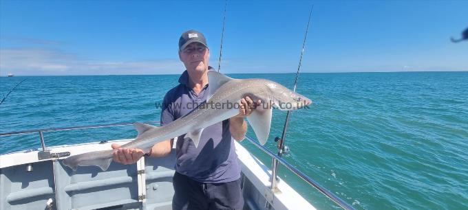14 lb Smooth-hound (Common) by Andy Miller