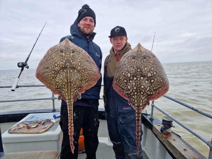 10 lb Thornback Ray by Unknown