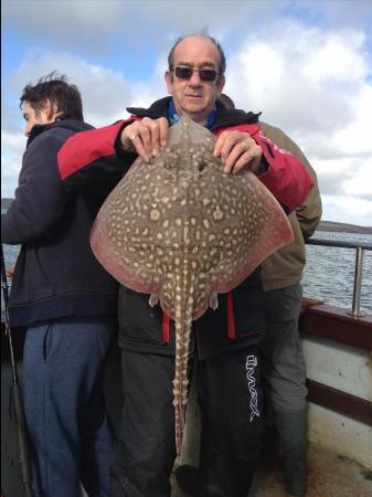 8 lb 8 oz Thornback Ray by Gareth W