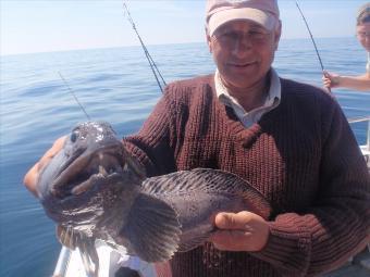 4 lb 6 oz Wolf Fish by John Scott from Barrow in Furness.