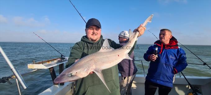 12 lb Starry Smooth-hound by Phil