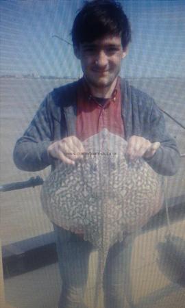 10 lb 8 oz Thornback Ray by Ellis