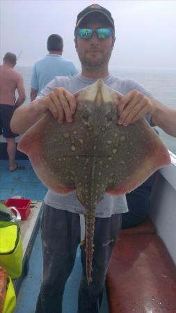 5 lb Thornback Ray by alex