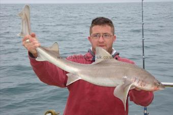14 lb Smooth-hound (Common) by Ray