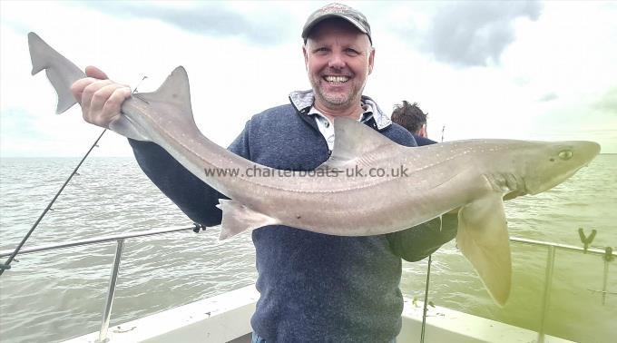 17 lb Starry Smooth-hound by Mick