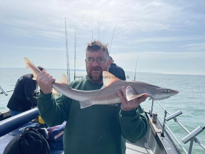 6 lb Smooth-hound (Common) by Unknown