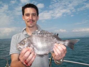 2 lb 3 oz Black Sea Bream by Unknown