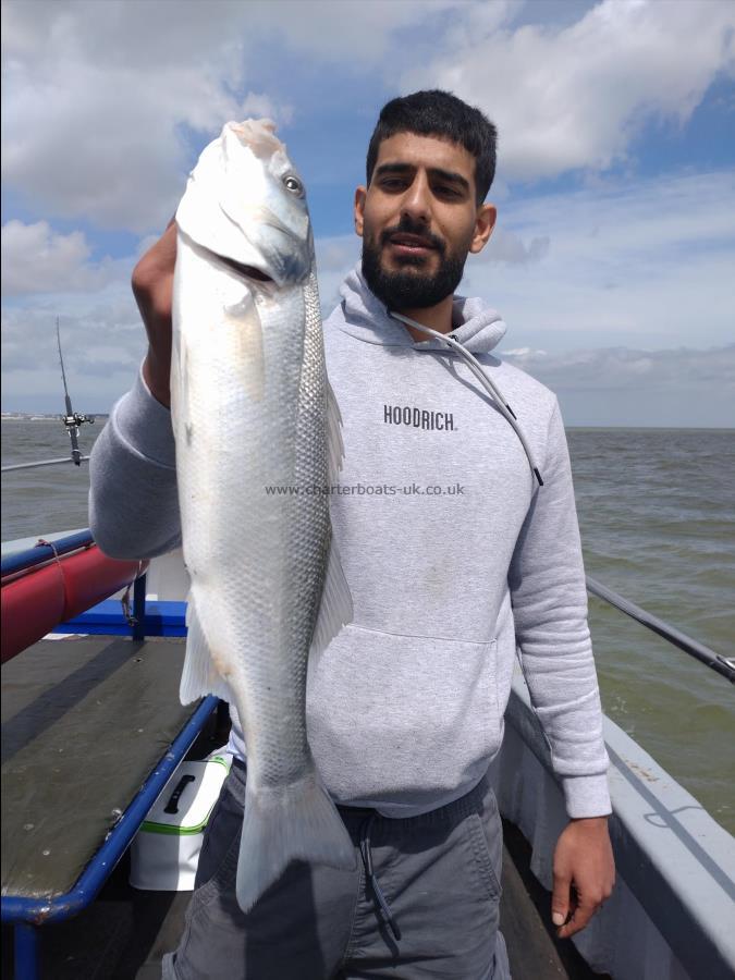 4 lb Bass by Dane