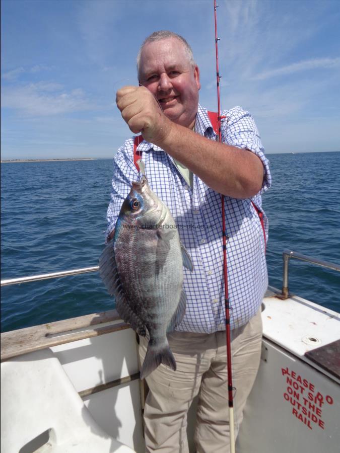 2 lb 8 oz Black Sea Bream by dean +bream