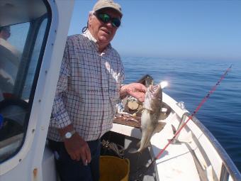 3 lb Cod by Eddy from Ripley nr Harrogate.