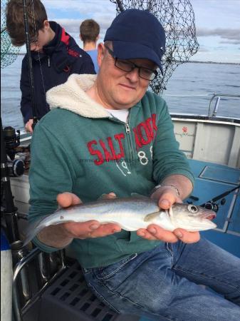 1 lb 6 oz Whiting by Phil Harvey