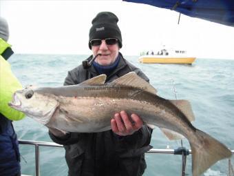 12 lb 6 oz Pollock by spoon boy