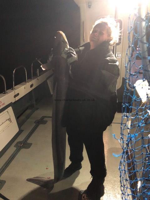 35 lb Conger Eel by natalie