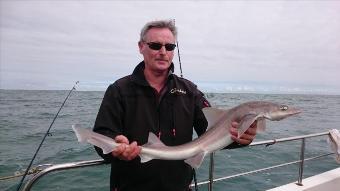 7 lb Smooth-hound by Bob Marshall