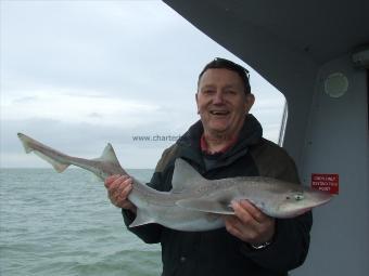 2 oz Starry Smooth-hound by jon