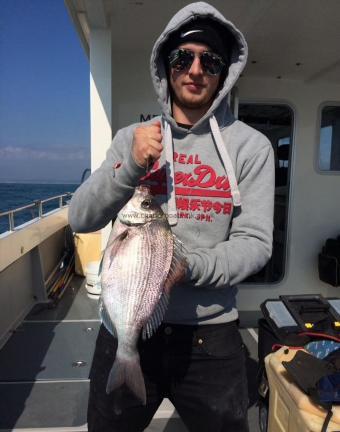 2 lb 12 oz Black Sea Bream by Unknown