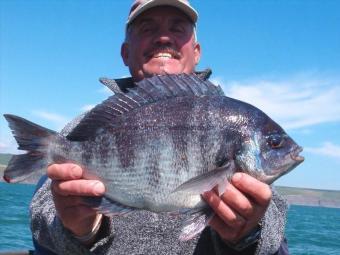 3 lb 14 oz Black Sea Bream by billy