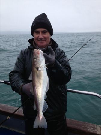 3 lb Whiting by Bob O'Shea