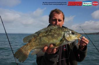 3 lb Ballan Wrasse by Mark