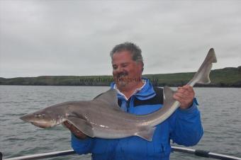 23 lb Starry Smooth-hound by Neil Harrison