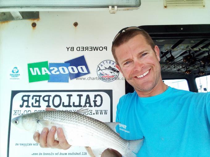 2 oz Thin-Lipped Grey Mullet by Unknown