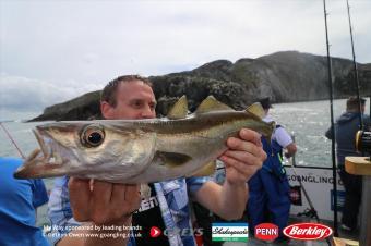 3 lb Pollock by Nai