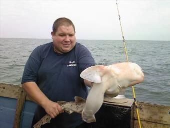 10 lb Bull Huss by Alan Midgely