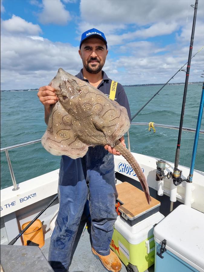 11 lb Undulate Ray by Jay Hemming