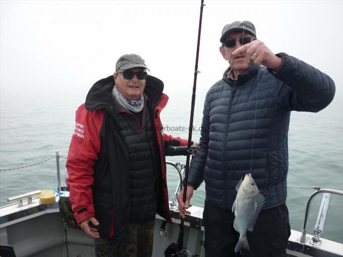 1 lb 12 oz Black Sea Bream by Chris