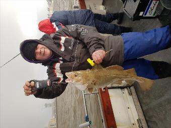 7 lb 6 oz Cod by Ben Cadden