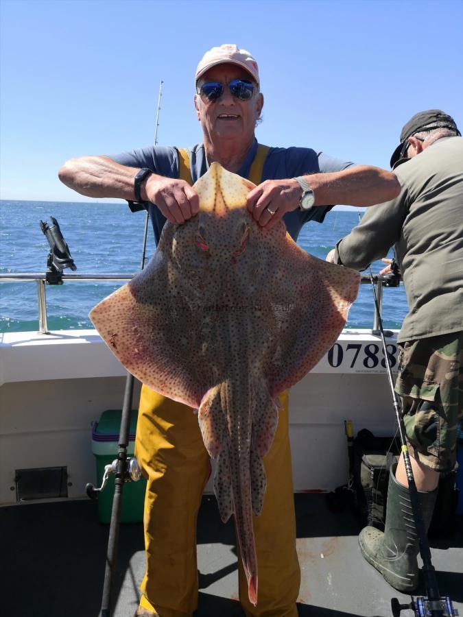 15 lb 8 oz Blonde Ray by Tony