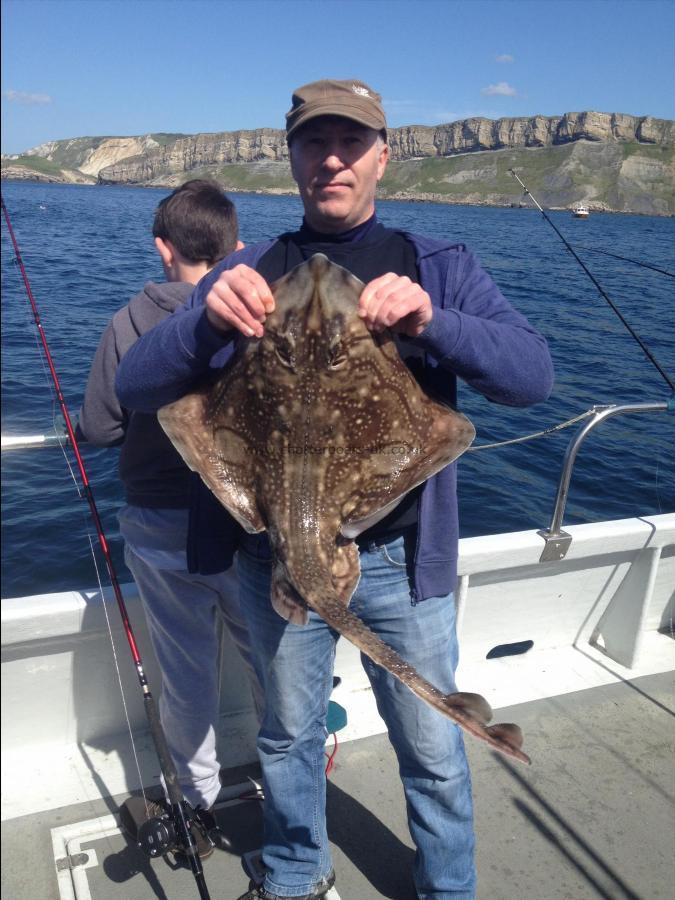 11 lb Undulate Ray by Ashley