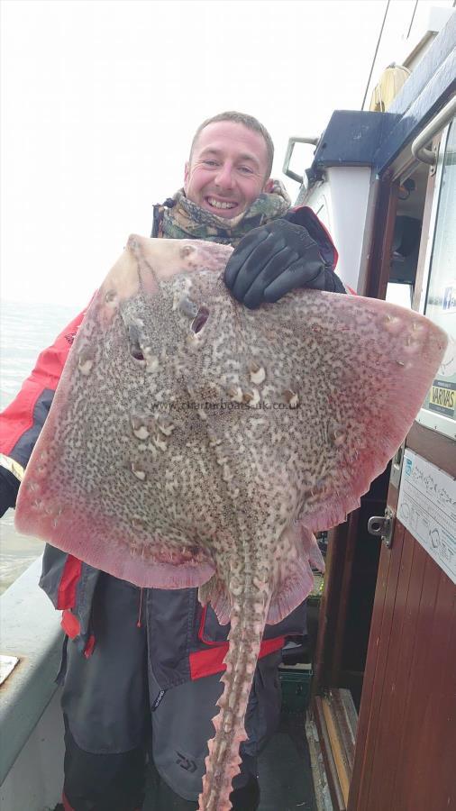 11 lb 3 oz Thornback Ray by Mark from Herne bay