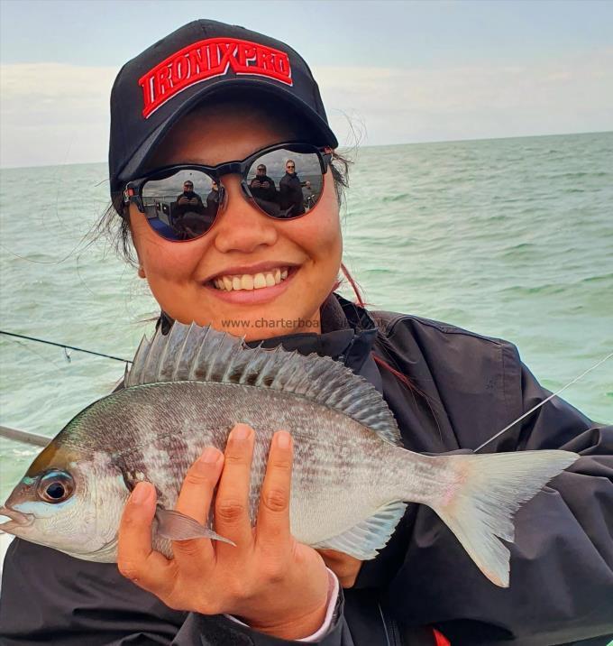 1 lb 6 oz Black Sea Bream by Unknown