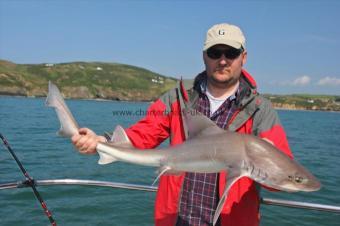 14 lb Starry Smooth-hound by Daniel