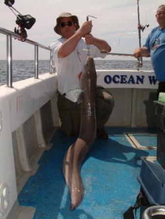 52 lb Conger Eel by Steve Ramson