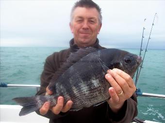 3 lb Black Sea Bream by barry watts