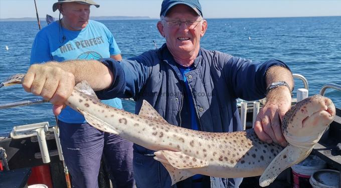 13 lb 9 oz Bull Huss by chris