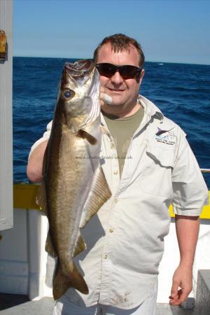 8 lb 4 oz Pollock by Nigel