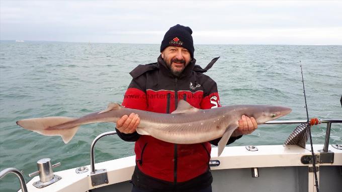 16 lb Spurdog by Garry Rickards