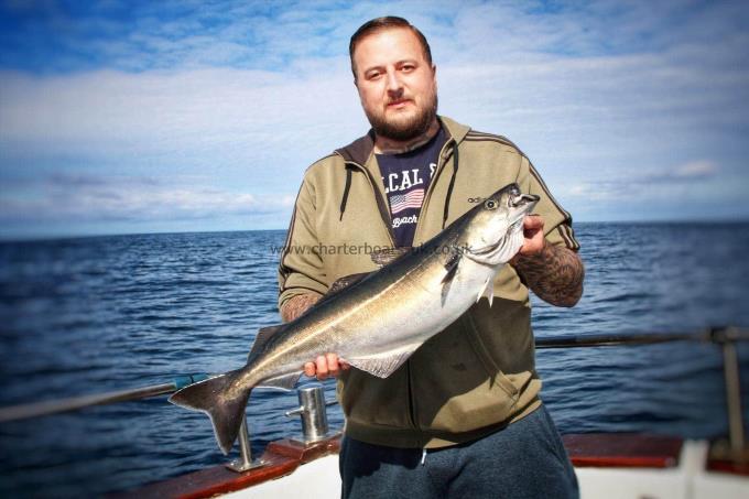 9 lb Coalfish (Coley/Saithe) by Unknown