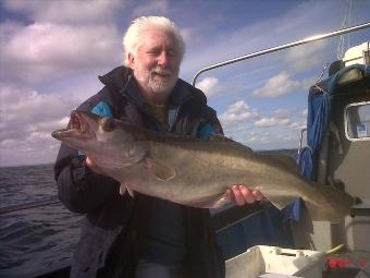 14 lb 1 oz Pollock by paul