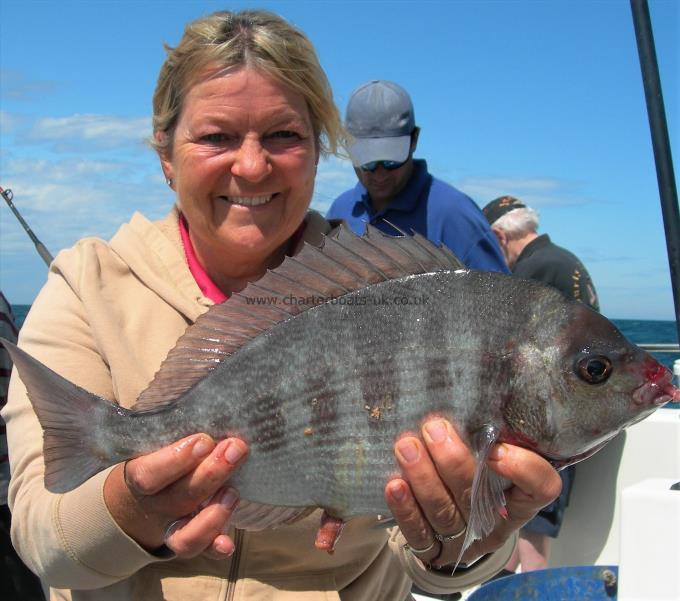 4 lb 12 oz Black Sea Bream by Kathy Pinel