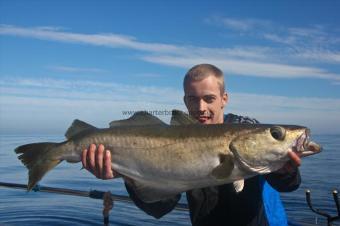 10 lb 8 oz Pollock by Ashley