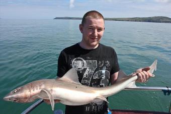 13 lb Starry Smooth-hound by Gary