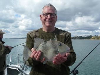 3 lb Trigger Fish by Graeme with the 1st of his 5 Trigger Fish