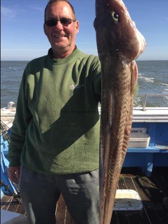 12 lb Ling by dave birkitt winning fish thursday fishing week